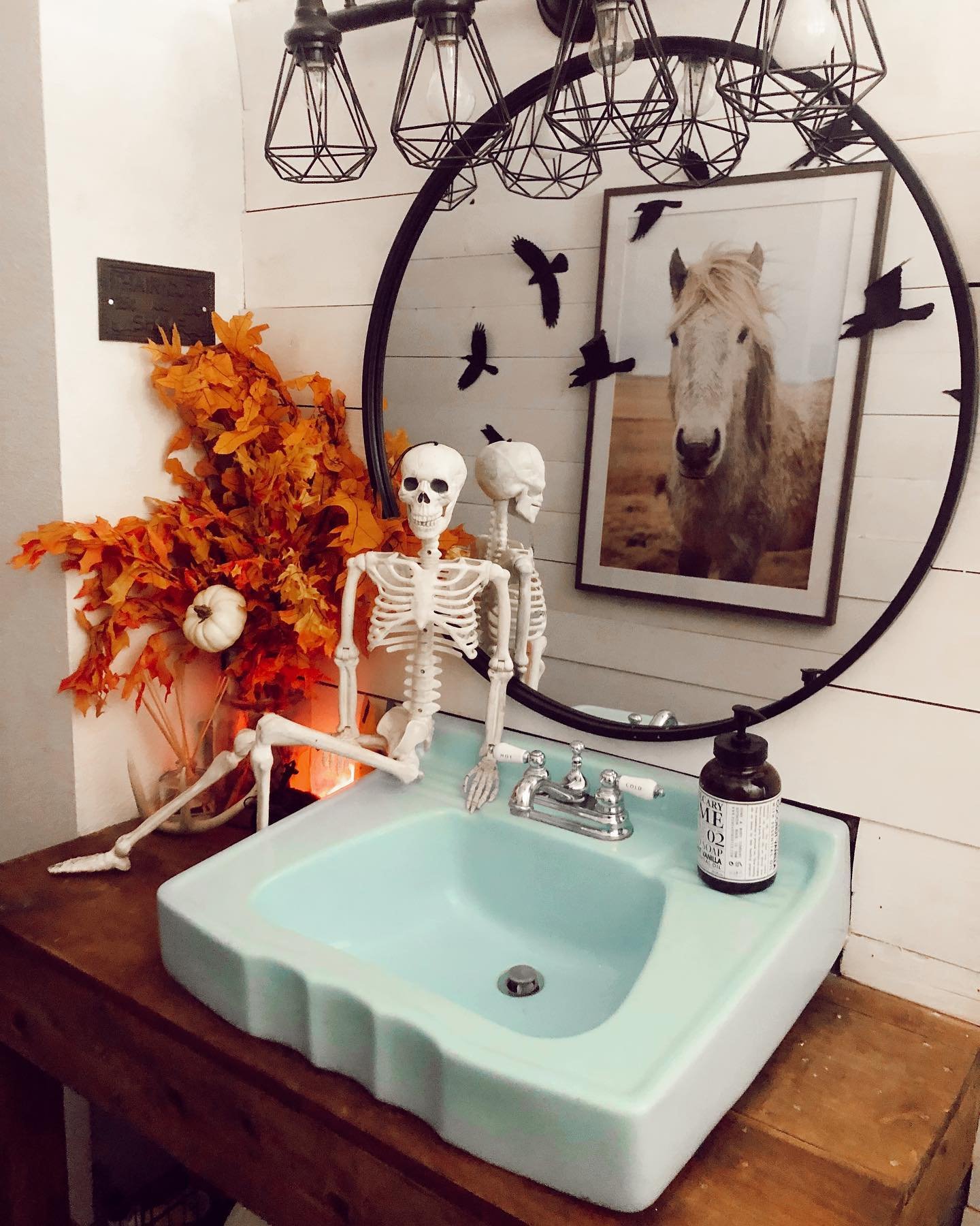 Two Skeletons on a Vintage Sink