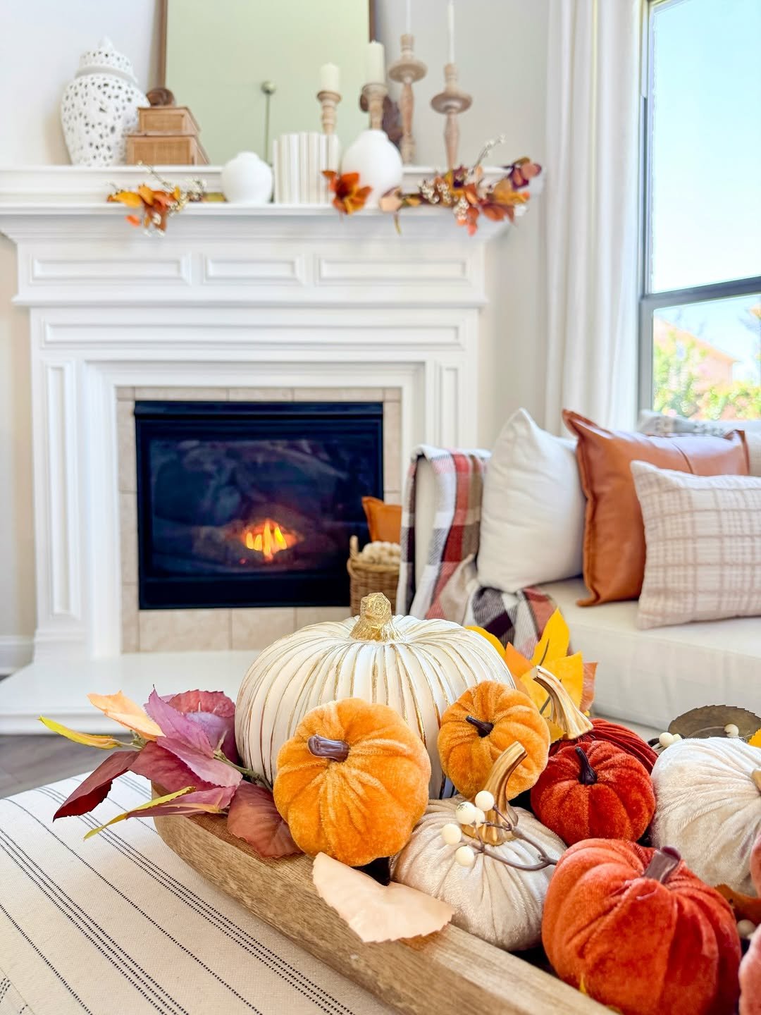 Velvet Pumpkins in Soft Neutrals