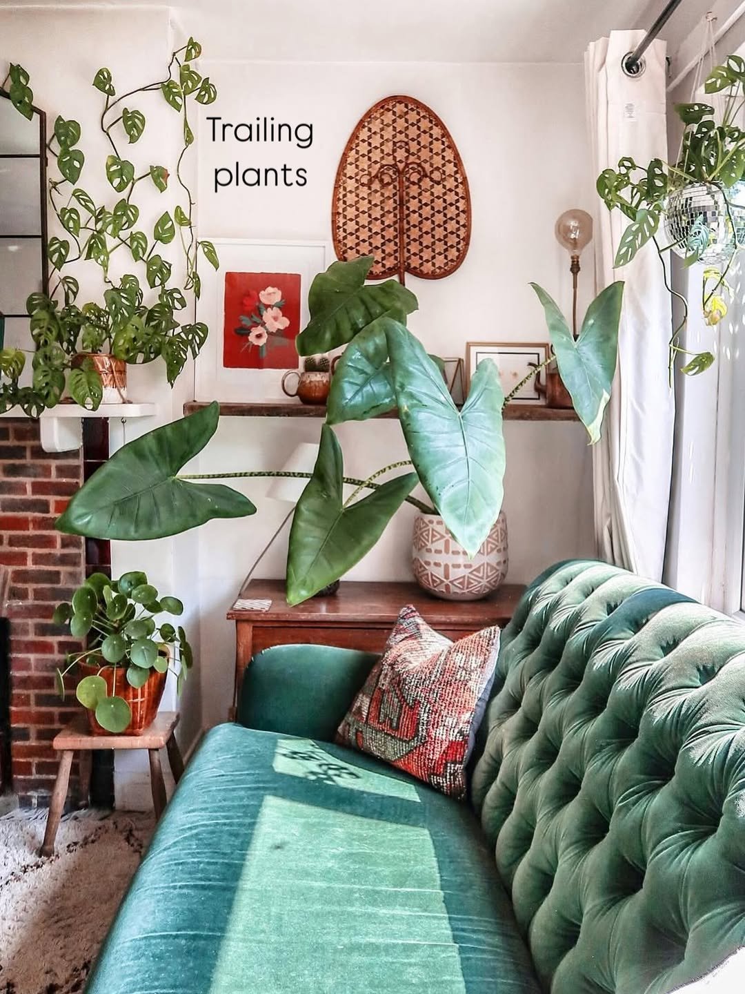 Wall of Trailing Plants