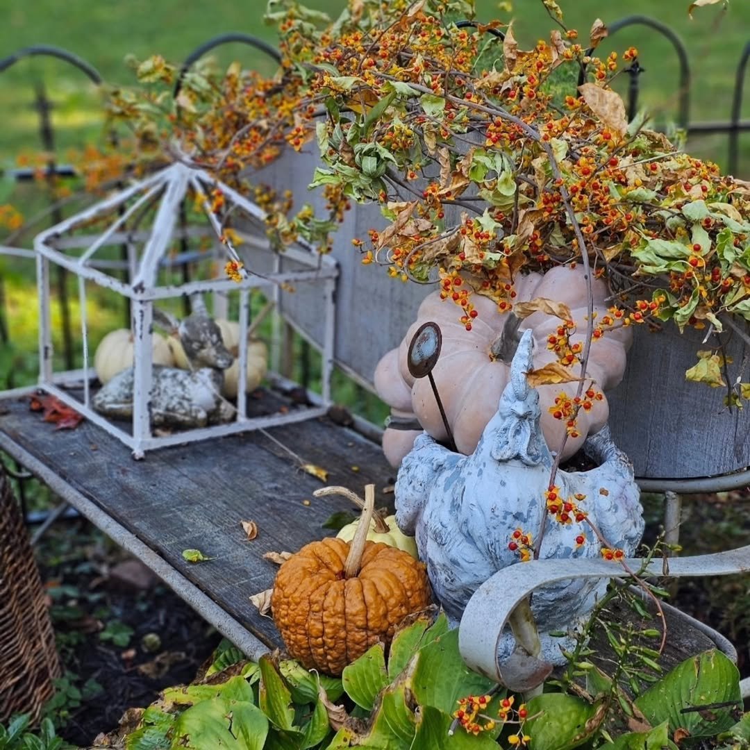 Weathered Styling for a Garden Bench