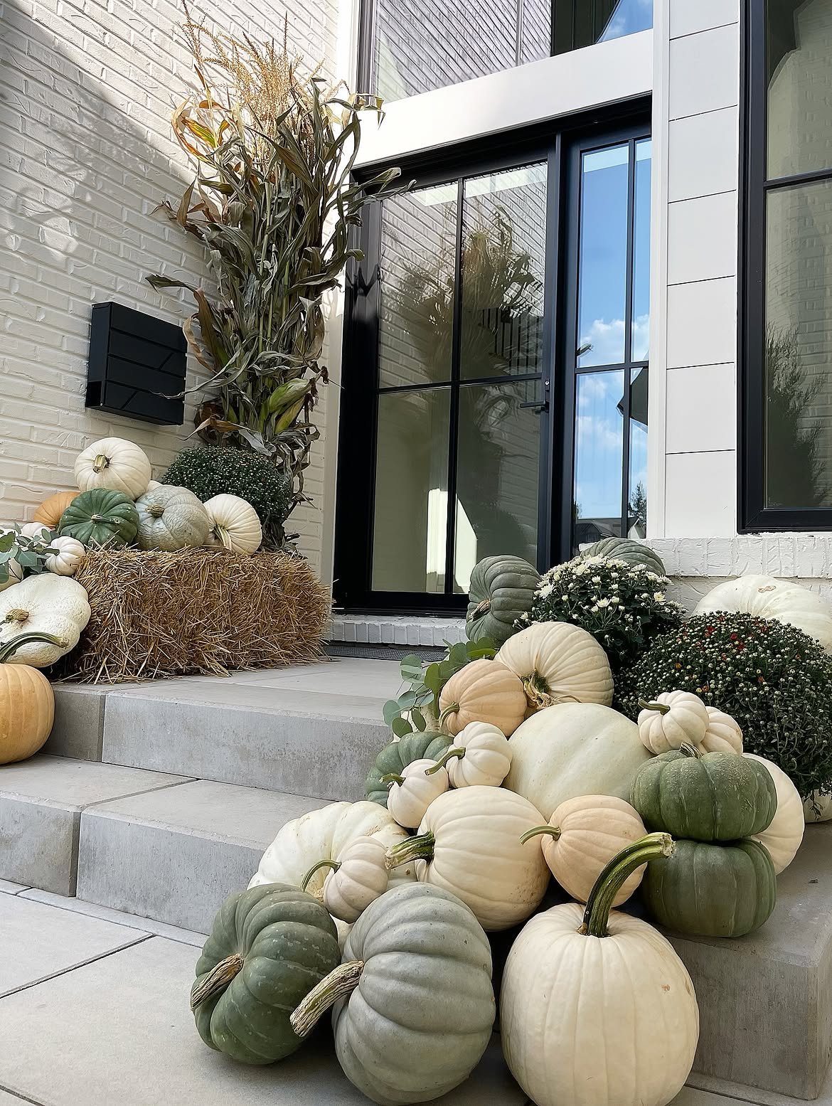 White Green and Modern Pumpkin Palette