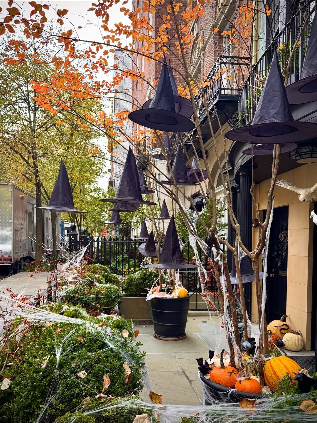Witch Hats on a Bare Halloween Tree